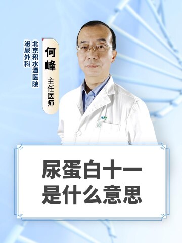 尿蛋白十一是什么意思